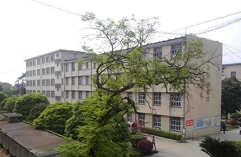 20201127131911227509.jpg 88.jpg