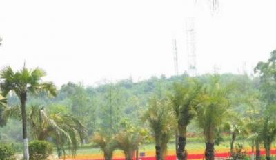 重慶市風(fēng)景園林技工學(xué)校五年制大專學(xué)費(fèi)