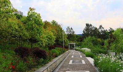 重慶市三峽衛生學校五年制大專學校分數線