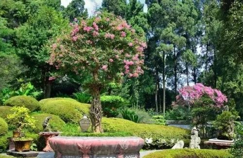 20201130144753140903.jpg 9.jpg