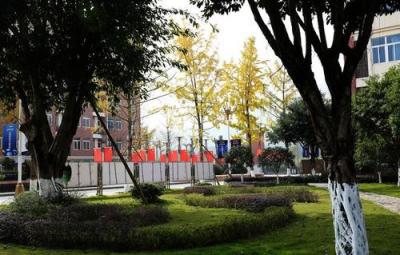 重慶教育管理學校五年制大專學校專業