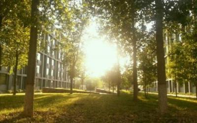 重慶海聯職業技術學院五年制大專專業