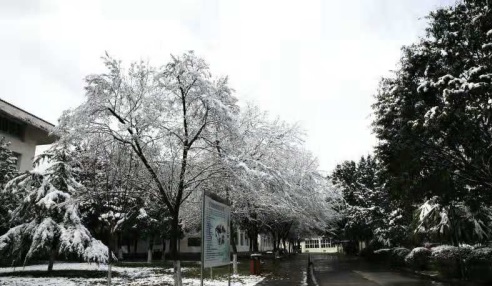 20201202104648933574.jpg 40.jpg