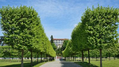 成都三十六中學