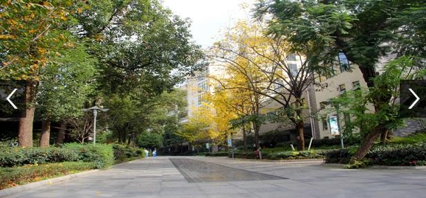 20201204094912262192.jpg 1.jpg