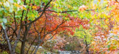 成都第十九中學怎么樣、好嗎