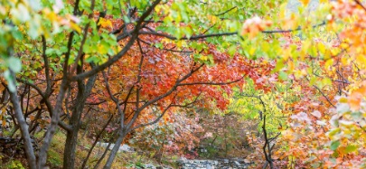 20201204100455872082.jpg 44.jpg