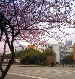 成都市財(cái)政貿(mào)易學(xué)校怎么樣、好嗎