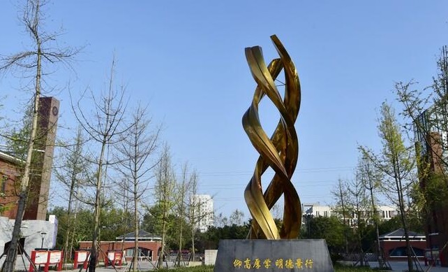 20201207112559546460.jpg 0.jpg