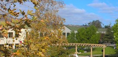 20201207140147128329.jpg 77.jpg