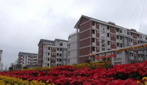 20201207154117968344.jpg 107.jpg