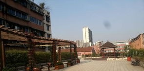 20201207170212345803.jpg 77.jpg