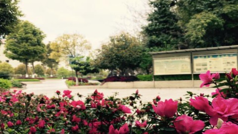 20201209101247692424.jpg 24.jpg