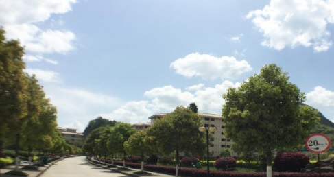 20201209101657930131.jpg 27.jpg