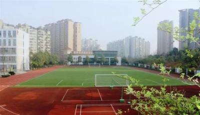 運(yùn)動場