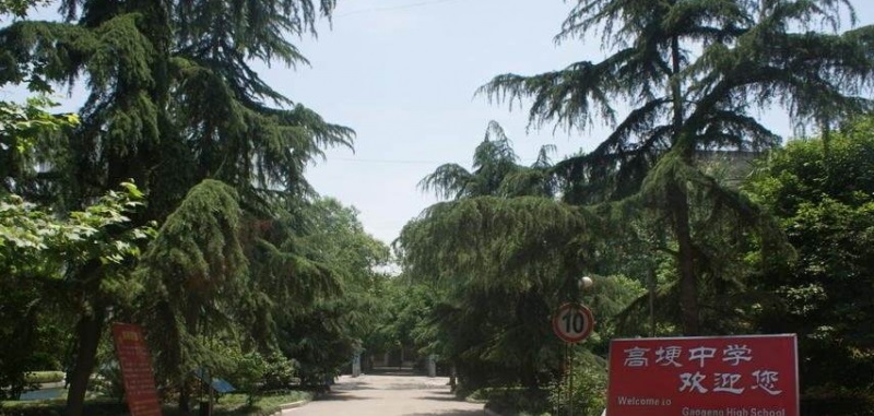 20201214105111122033.jpg 66.jpg