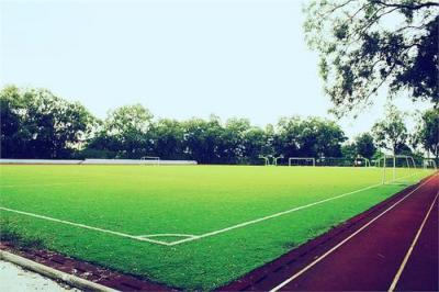 文山州民族職業技術學校足球場