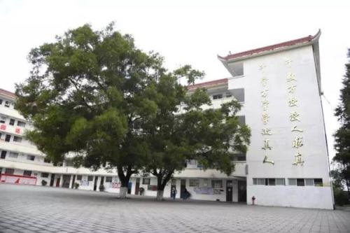 20201229141927186542.jpg 80.jpg