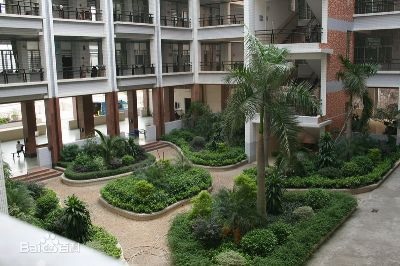 20201230134634967569.jpg 84.jpg