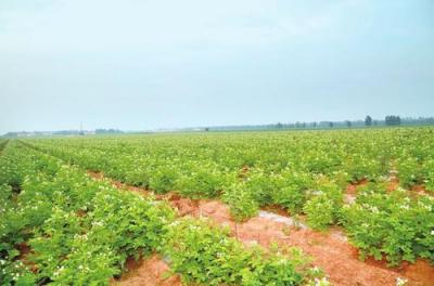 現代農藝技術專業