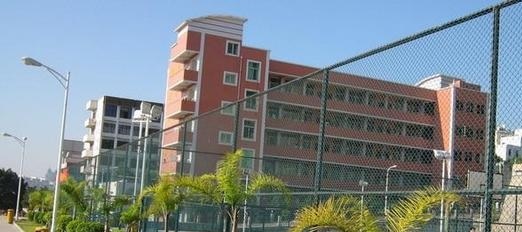 20210106143001102157.jpg 84.jpg