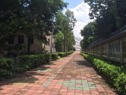 20210112094956892436.jpg 23.jpg