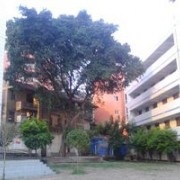 四川省資中縣太平中學(xué)