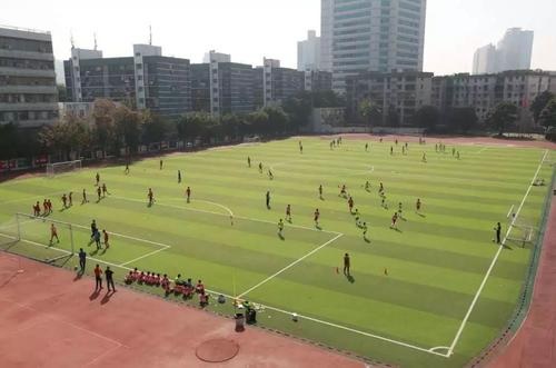 20210120151404376528.jpg 85.jpg