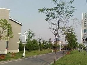 浙江旅游職業學院五年制大專2020年招生錄取分數線