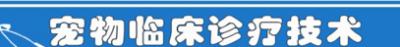 寵物臨床診療技術專業