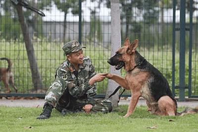 寵物養護與馴導專業