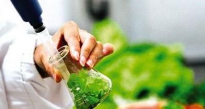 食品質量與安全專業