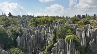 旅游管理專業(yè)