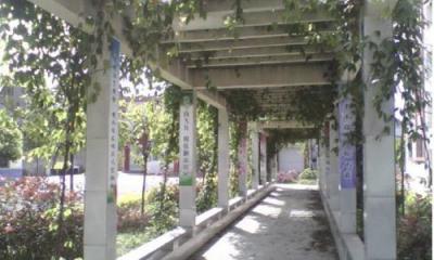 顧縣中學(xué)閱讀長(zhǎng)廊