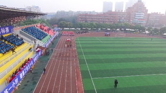 20210210153744431737.jpg 44.jpg