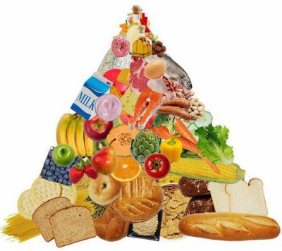 食品質(zhì)量與安全專業(yè)