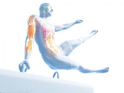 體育保健與康復(fù)專業(yè)