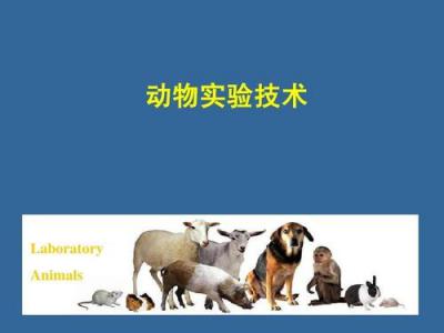實驗動物技術專業