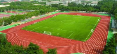 江蘇農(nóng)牧科技職業(yè)學院足球場