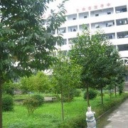 達縣管村中學2020招生簡章