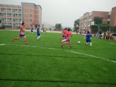 商務(wù)職業(yè)學(xué)院五年制大專足球場