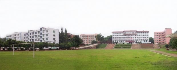 20210323135045776981.jpg 3.jpg