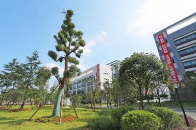 涇陽職業中等專業學校2021年報名條件、招生要求、招生對象