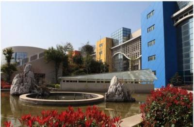 學(xué)校環(huán)境