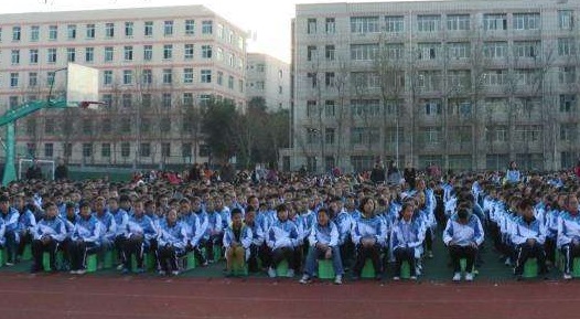 20210506094355416891.jpg 88.jpg