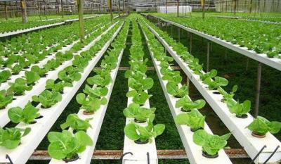 農業裝備應用技術專業