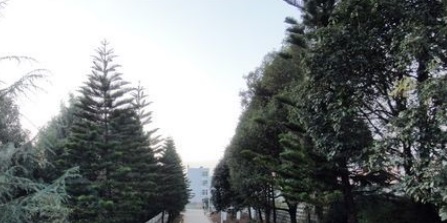 20210517142041597496.jpg 888888.jpg