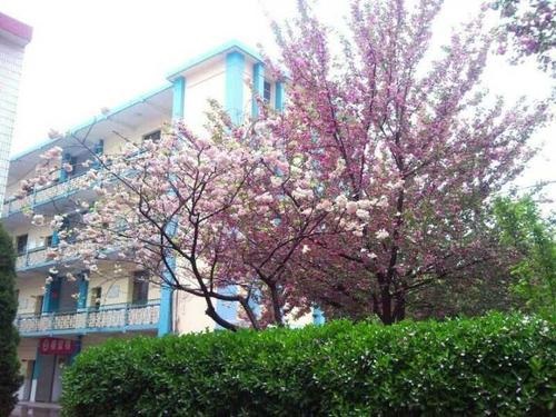 20210517160836133441.jpg 7777777777.jpg