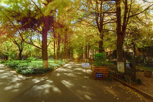 20210518112537901860.jpg 888888888888.jpg