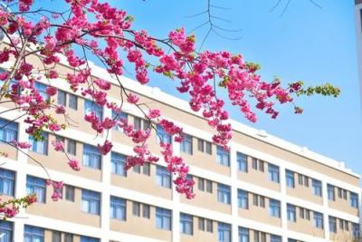 陜西藝術(shù)職業(yè)學(xué)院五年制大專2021年學(xué)費(fèi)、收費(fèi)多少